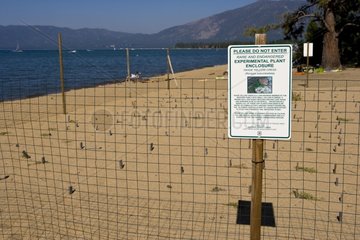 Enclosures to protect plants Lake Tahoe California USA