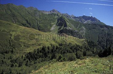Landschaft des Pyreneintals von Aspe Frankreich