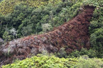 Entwaldung im hohen Anden imbabura ecuador