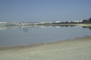 Ville deLarnaca aux bords des lacs salés Chypre