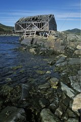 Cabane de pêcheur en ruine au bord de l'Océan Canada