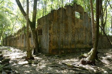 Ruine des Gefängnisses des Insel-Du-Saluts in Französisch Guyana