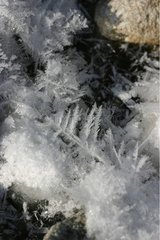 Ice crystals on the surface of a cold river Slovakia