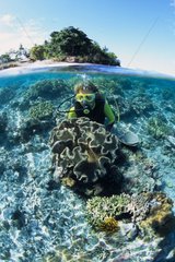 Taucher und Korallenriff Siladen ist Manado Indonesien