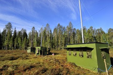 Lookout -Hütten in der Nähe eines Moor Martinselkonen Finnland