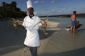 Maldives  cook showing lobster