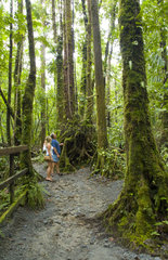 Tourist couple exploring rain forest in Morne Trois Pitons National Park of beautiful Dominica which is National Heritage Site in the Caribbean