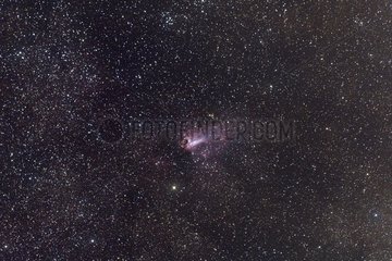 Nébuleuse du Cygne dans le Sagittaire et dans la Voie Lactée