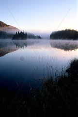 Morning fog on a lake of the Bouclier Canadien