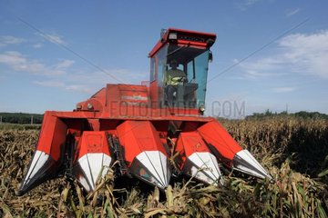 Corn picker moissonant Corn [AT]