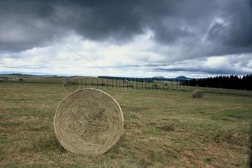 Haystacks under the storm on the plateau of Auvergne