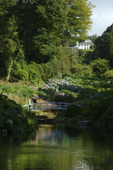 Cornwall  Mawnan Smith  Trebah botanical Garden  a sub-tropical ravine garden.