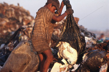 Latin America  Brazil. Dark-skinned child works at garbage deposit ( dump ) collecting stuff for the recycling industry and food to take home. Poverty  child labor  human degradation  starvation  social problems.