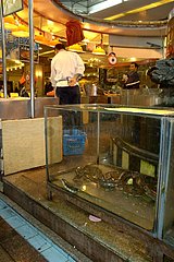 Snakes in captivity in a restaurant of Canton China