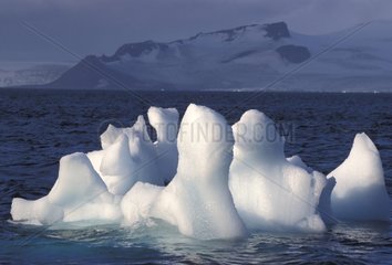 Eisberg -Antarktische Halbinsel