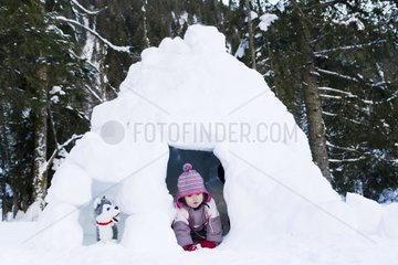 Little girl coming out of an igloo and and plush dog Huskies