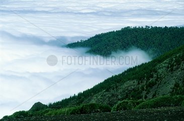 Iles Canaries  Tenerife  mer de nuages