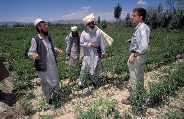 Development worker talking to local people in Afghanistan about the use of the fields.