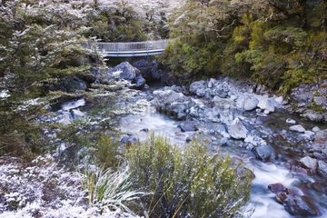 Bridge across creek near Arthur's Pass New Zealand