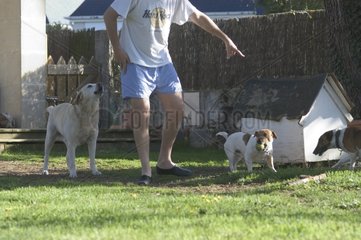 Mann umgeben von seinen Hunden in seinem Garten Frankreich