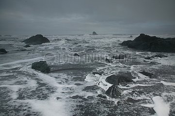 Schaum und Felsen an der Küste Island