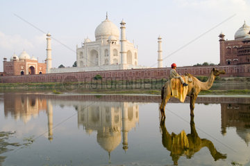 World famous Taj Mahal temple burial site at sunset with young boy on camel from Yamuna River with reflection in town of Agra India