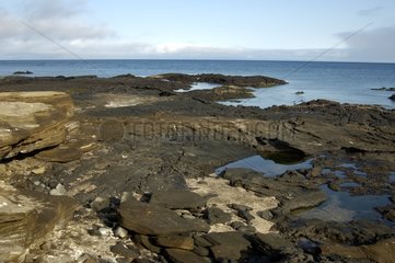 Paysage volcanique à Puerto Egas Ile de Santiago Galapagos