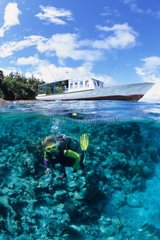 Taucher Siladen und Korallenriff sind Manado Indonesien