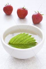 Herbal tea with strawberry leaves and strawberry on marble