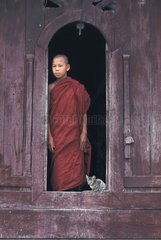 Young monk and kitten at the door of a temple Burma