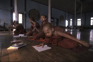 Young novices praying at the monastery of Kalaw Myanmar
