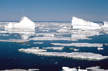 Baie des icebergs côte de Liverpool land Groenland