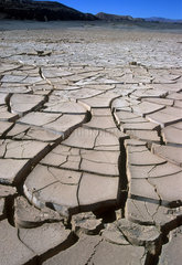 Dry and cracked soil  drought. Atacama Desert  Chile  South America.