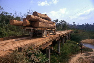 Transportation of timber  Amazon rainforest  Brazil. rain forest clearance  clearance  deforestation  logging  timbering  wood  logs  lumbering  felling trees  cutting logs  tree farming  environmental degradation  ecological unbalance  ecological disturb