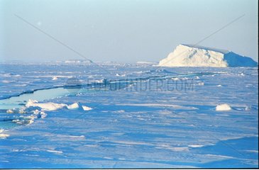 Eisberg und Ice-Floe in der antarktischen Terre Adelie