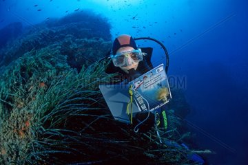 Study of the underwater biology of Mediterranean Sea France