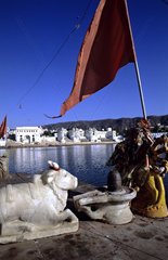 The statue of Nandi lakeside Pushkar Rajasthan India