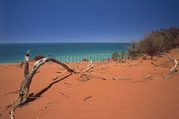 Red sand dune in Francois Peron NP Australia