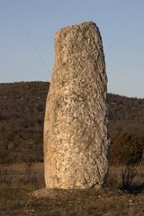 Menhir de Ferussac au Coulet en décembre
