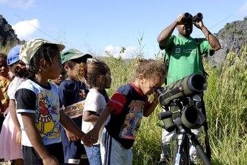 Schoolchildren observing bats New Caledonia