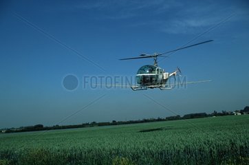 Hubschrauberpulverernte im Vereinigten Königreich