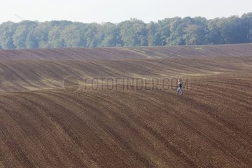 Landwirt in einem Feld Frankreich [at]