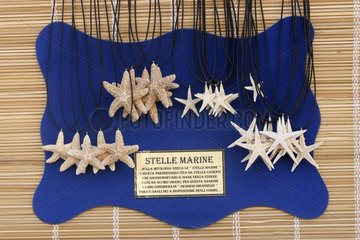 Etoiles de mer vendues en pendentif sur l'Ile de Lipari