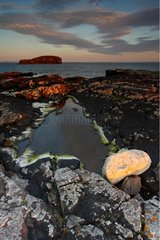 Rock shore at sunset Eshaness Shetland