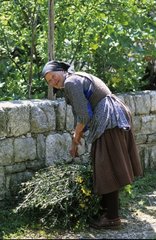 Kroatisches Land-Frauen-Dorf Koritas von Mljet Kroatien