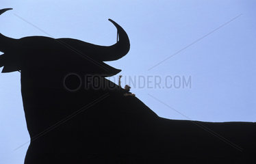 The Osborne bull between Jerez and El Puerto