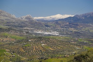 Landscape of Axarquia in Andalusia Spain