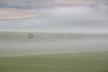 Fog over the fields in spring Yonne France
