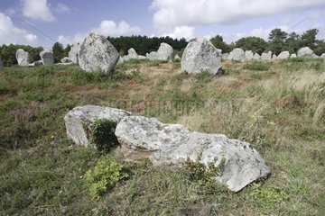 Prehistoric megalithic standing stones Kermario France