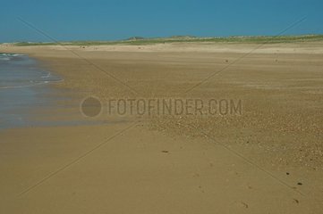 Sand beach in the Landes